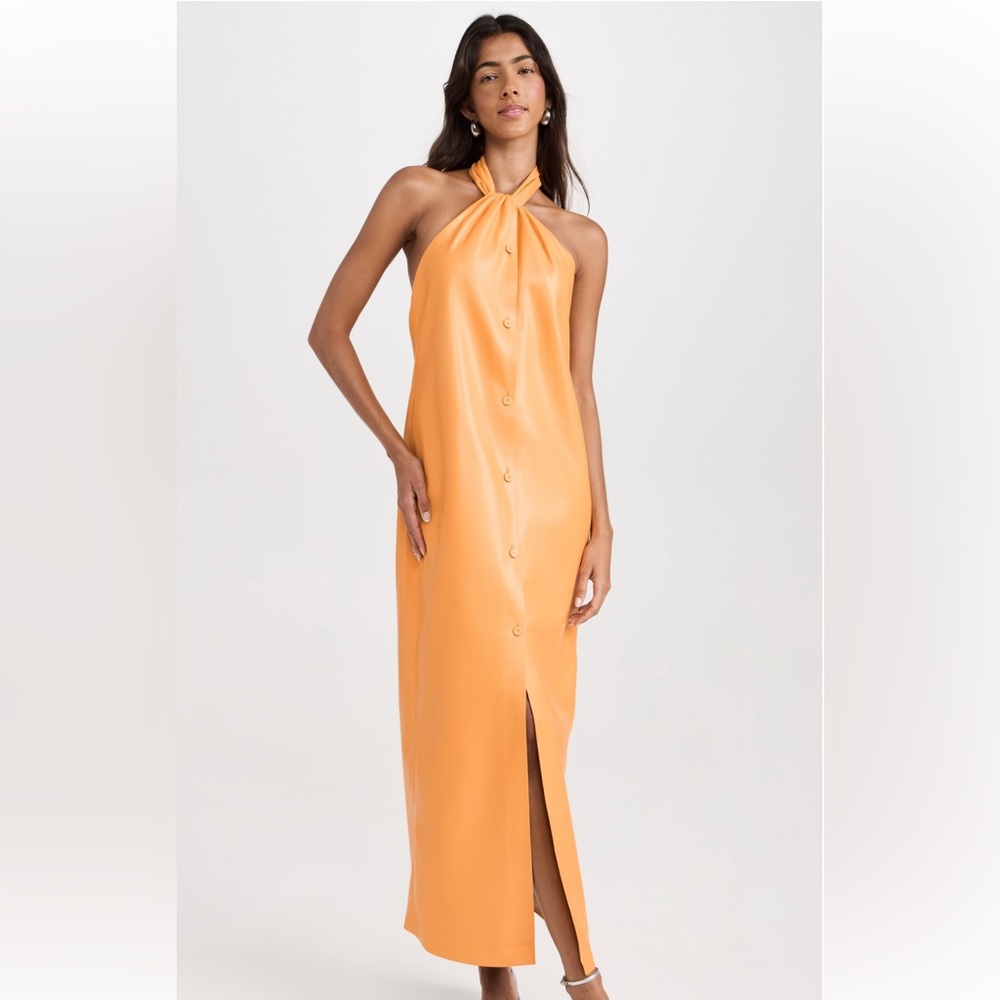 NANUSHKA DRESS
